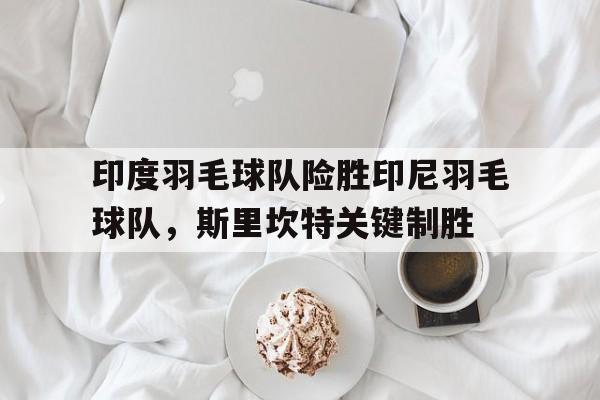 开云官方app入口-印度羽毛球队险胜印尼羽毛球队,斯里坎特关键制胜的简单介绍