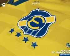 关于埃弗顿经理公开道歉球迷,承诺改进表现的信息 关于埃弗顿经理公开道歉球迷,承诺改进表现的信息